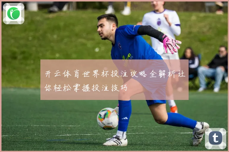 开云体育世界杯投注攻略全解析让你轻松掌握投注技巧