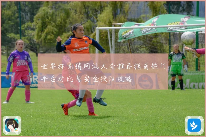 世界杯竞猜网站大全推荐指南热门平台对比与安全投注攻略